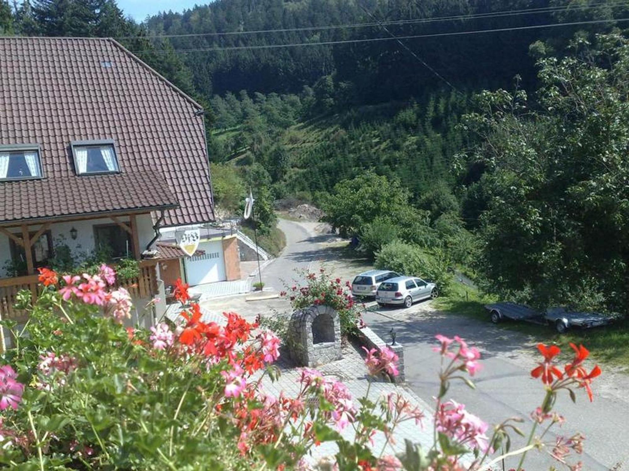 Vogthof Wohnung Schneckenhus Lautenbach Exterior foto