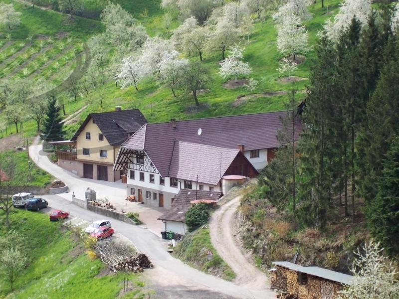 Vogthof Wohnung Schneckenhus Lautenbach Exterior foto