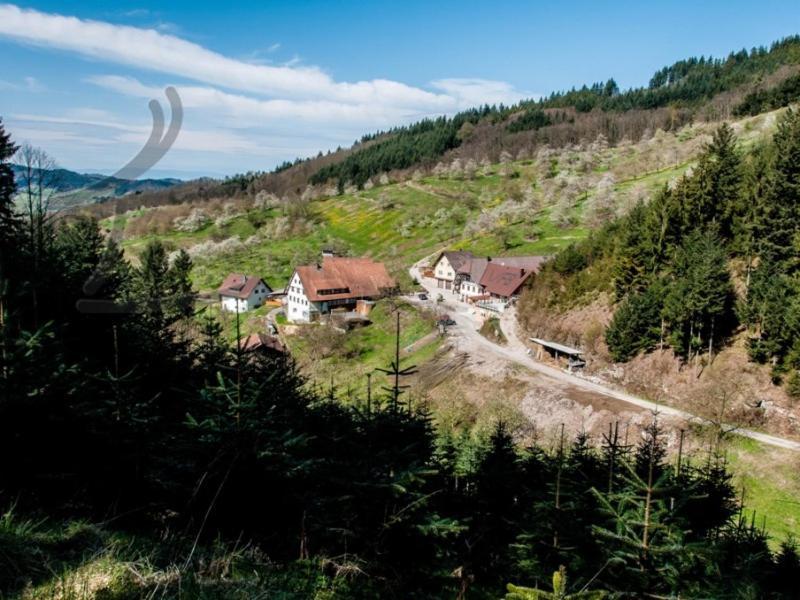 Vogthof Wohnung Schneckenhus Lautenbach Exterior foto