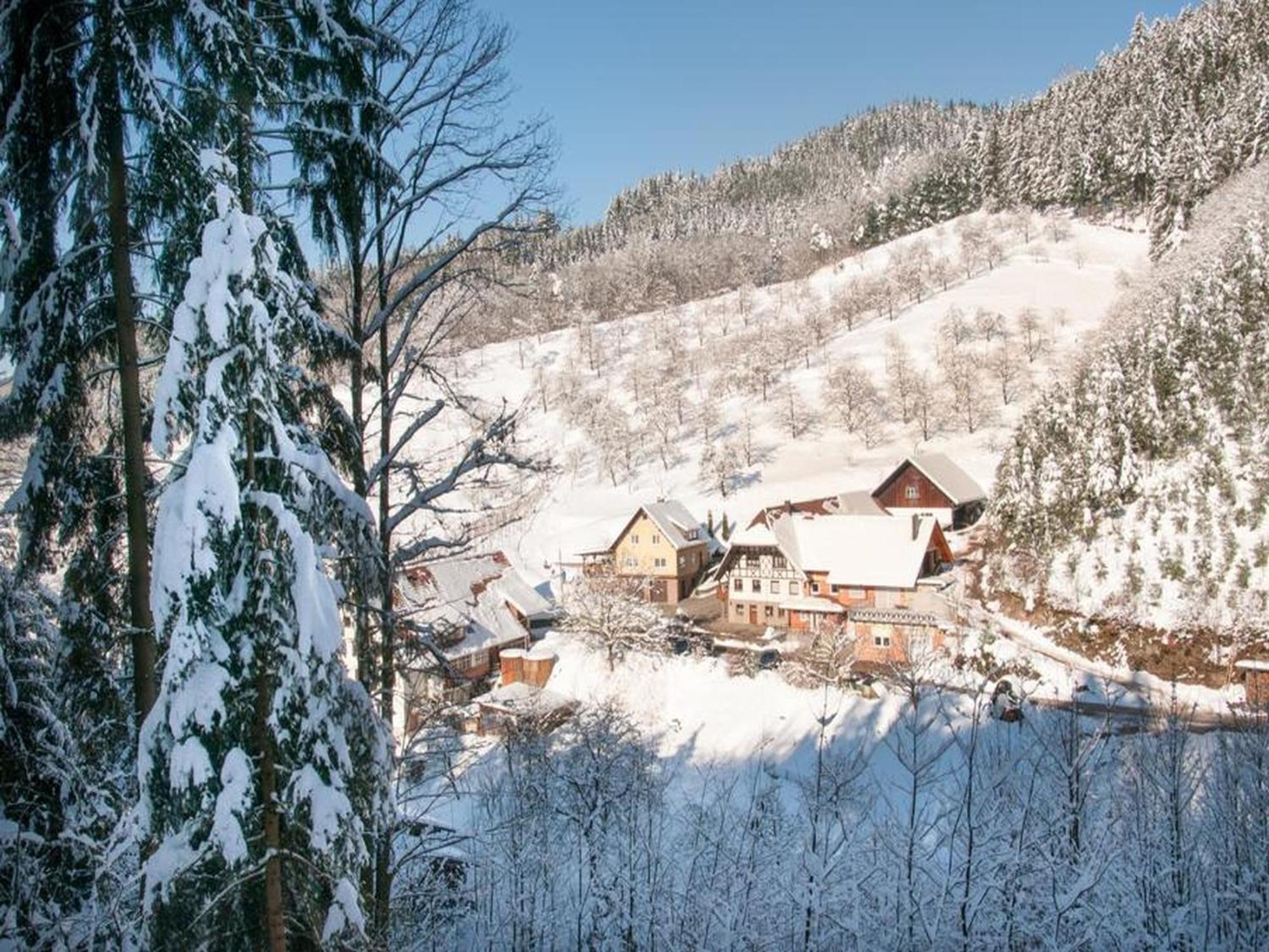 Vogthof Wohnung Schneckenhus Lautenbach Exterior foto