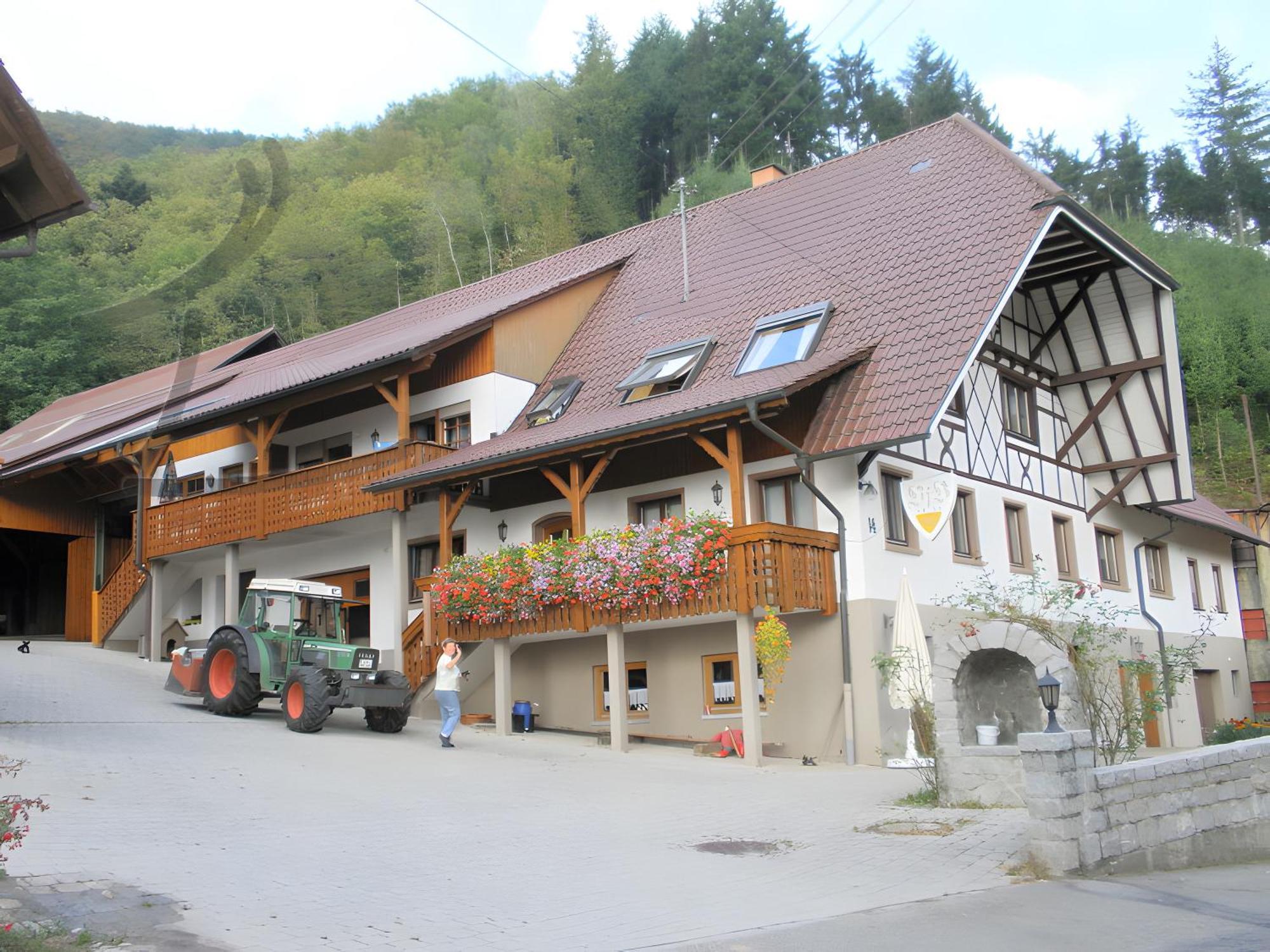 Vogthof Wohnung Schneckenhus Lautenbach Exterior foto